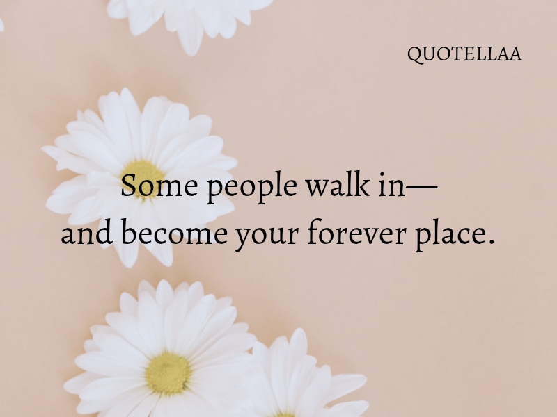 Friendship quotes 