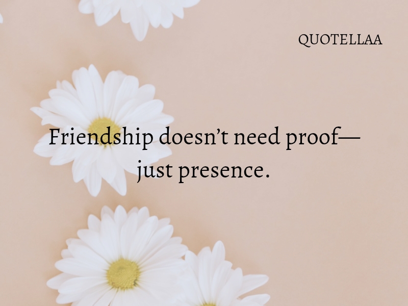 Friendship quotes 