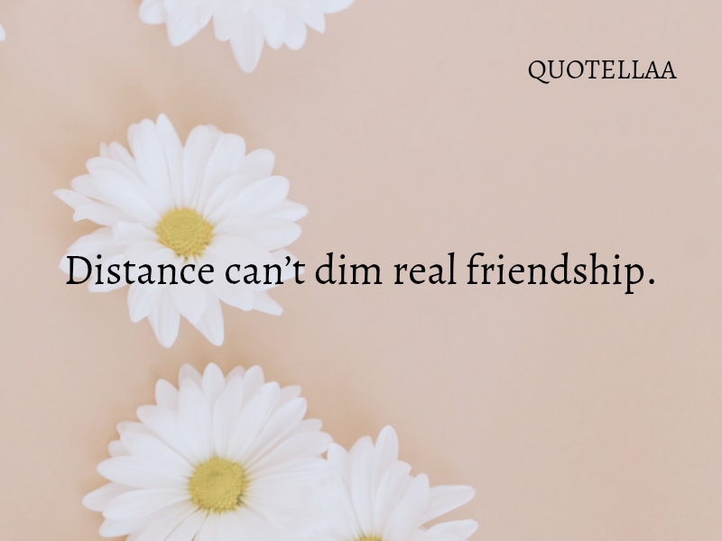 Friendship quotes 