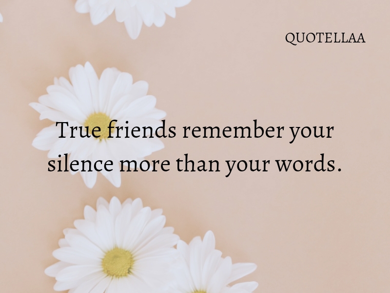 Friendship quotes 