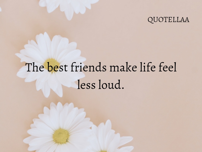 Friendship quotes 