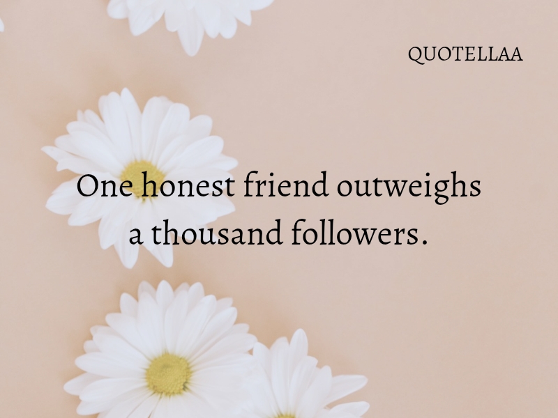 Friendship quotes 
