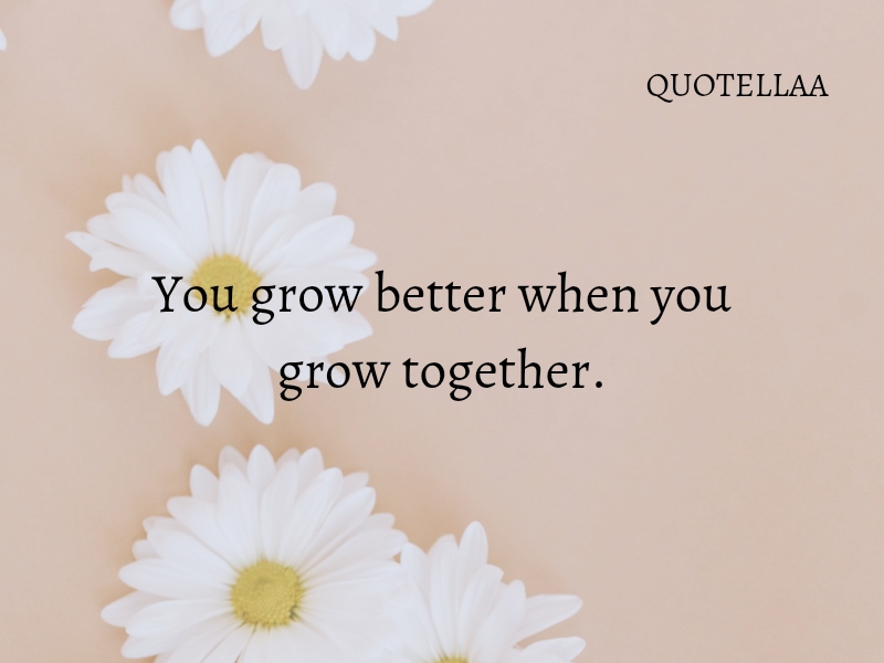 Friendship quotes 