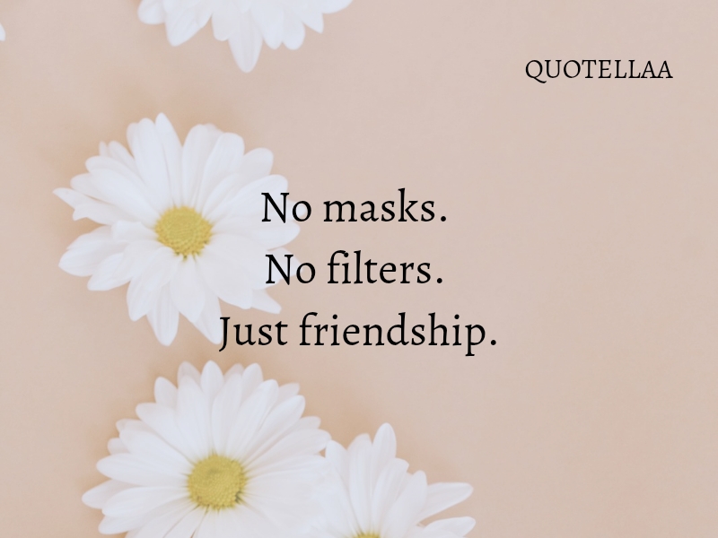 Friendship quotes 