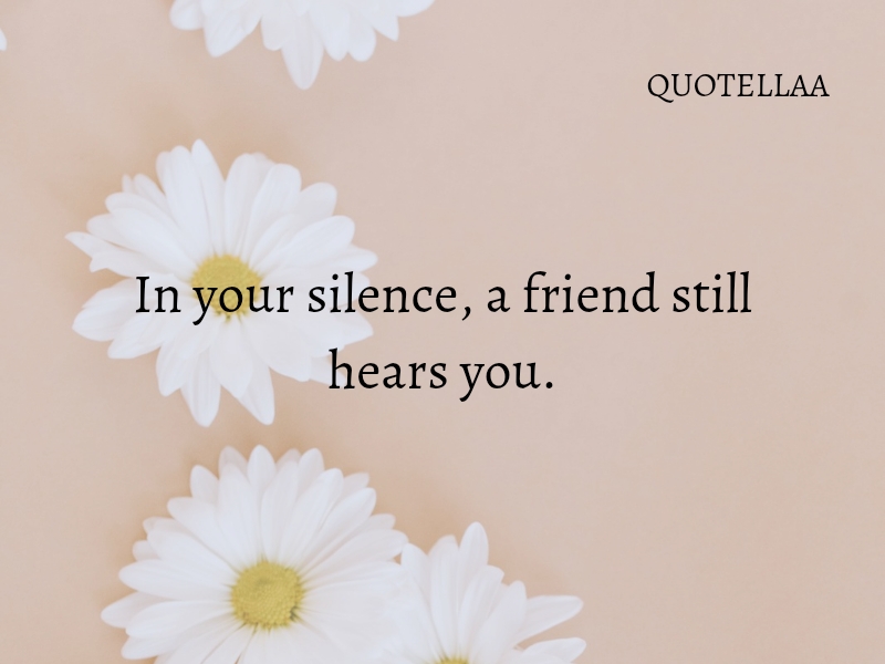 Friendship quotes 