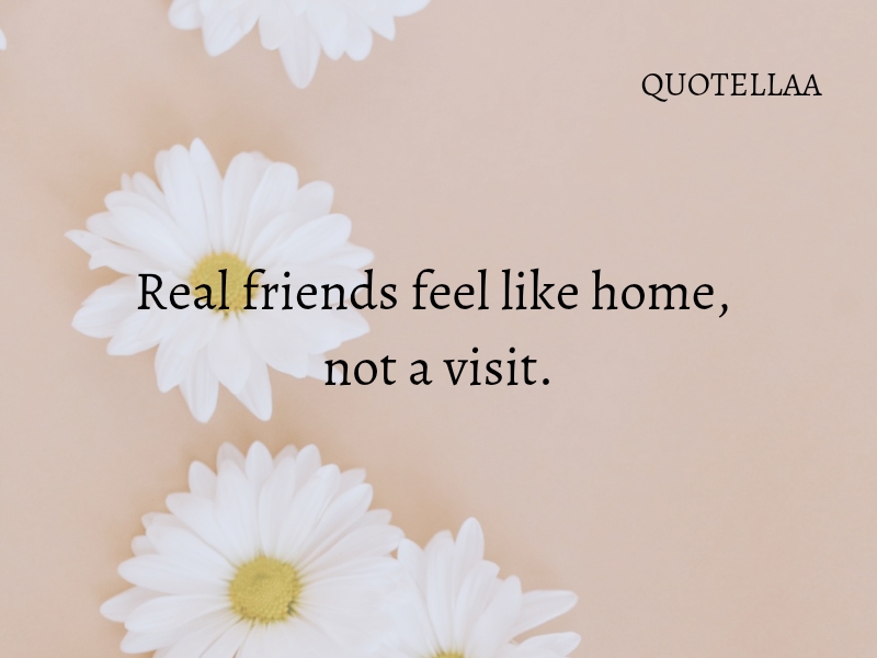 Friendship quotes 