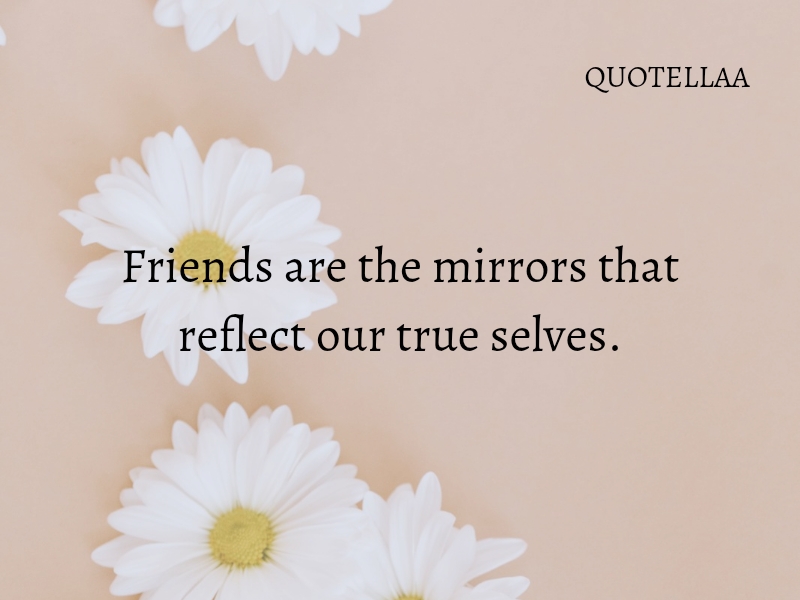 Friendship quotes 
