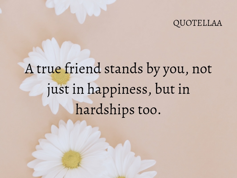 Friendship quotes 