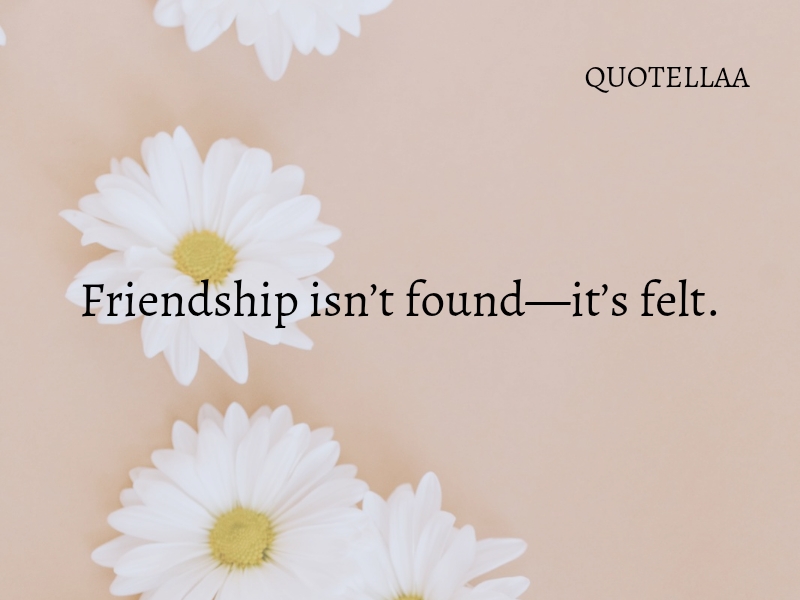 Friendship quotes 