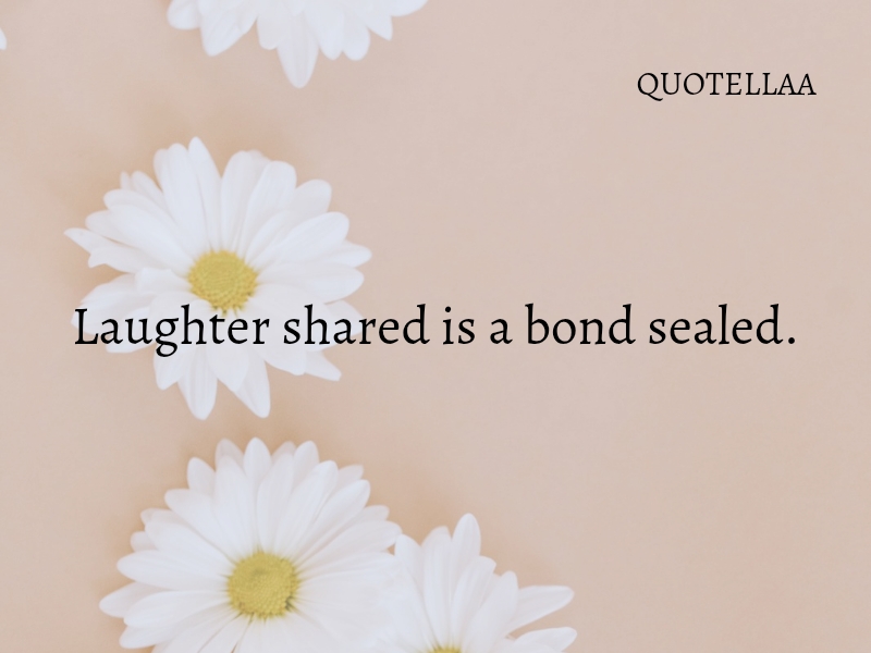 Friendship quotes 
