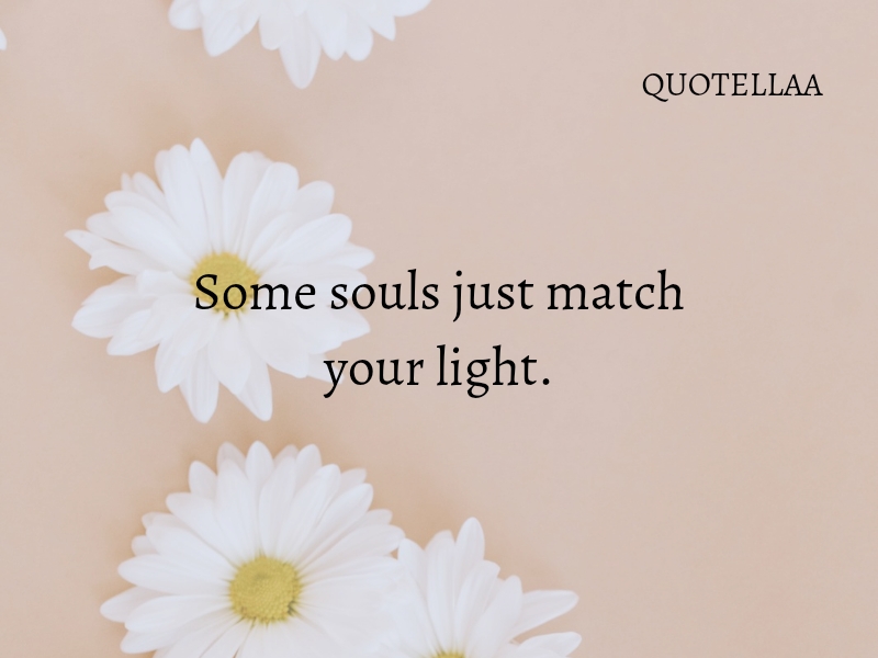 Friendship quotes 