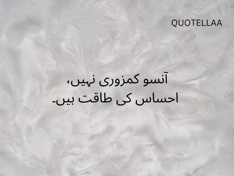 Urdu quotes