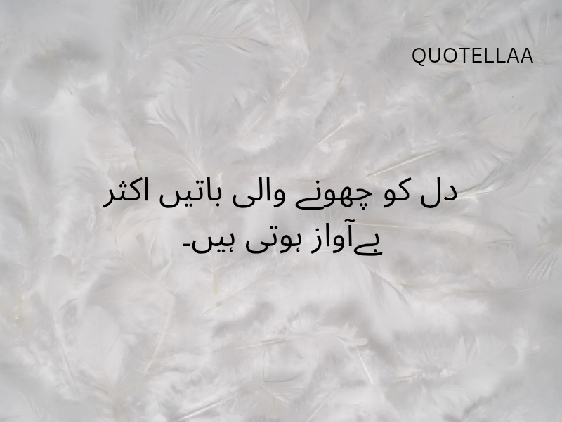 Urdu quotes 