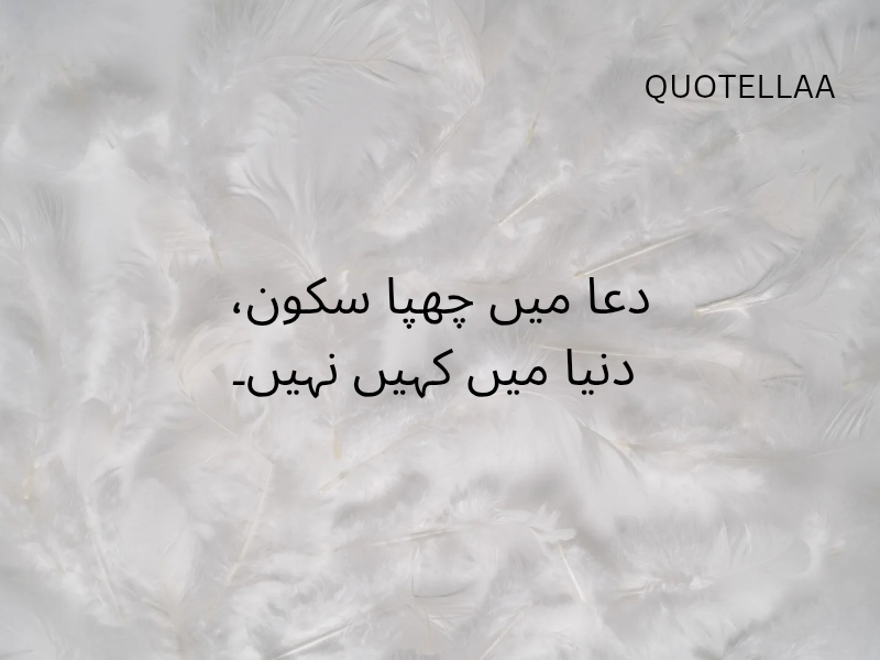 Urdu quotes 