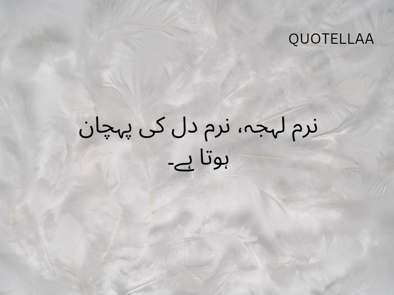 Urdu quotes 