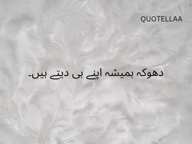Urdu quotes 