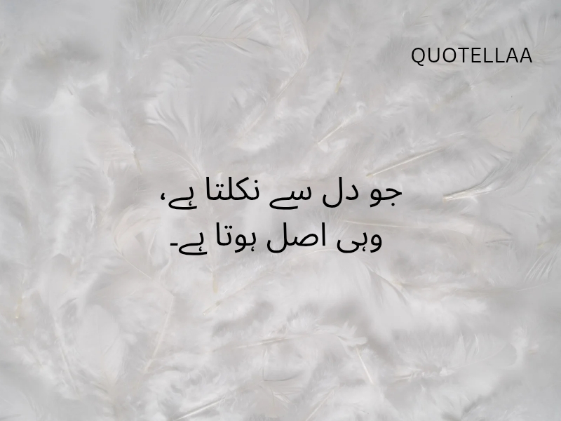 Urdu quotes 