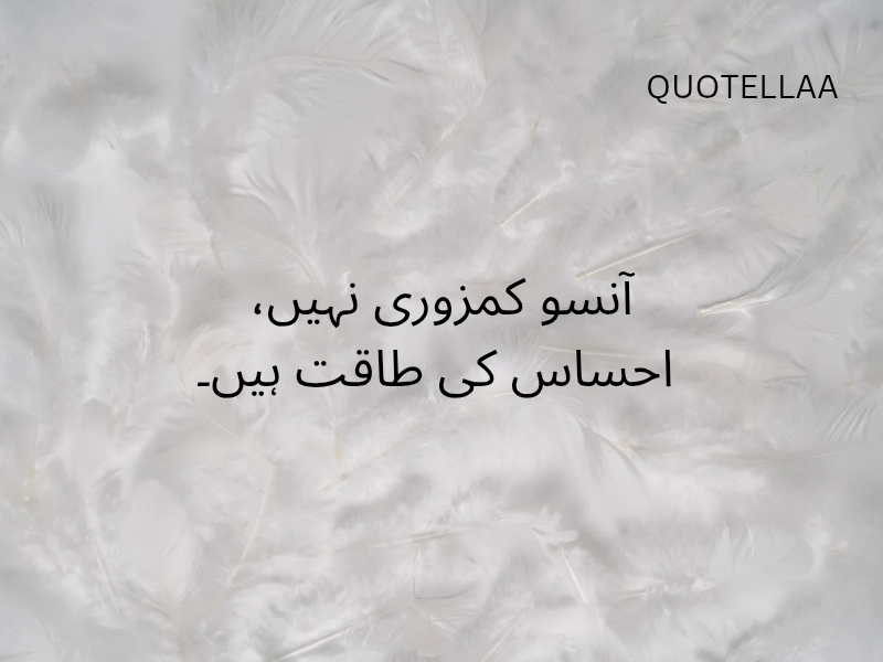 Urdu quotes 