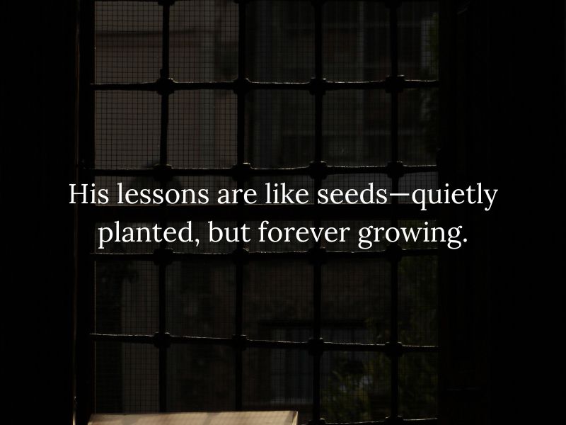 Father's Day Quotes