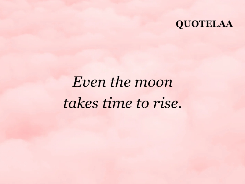 Aesthetic quotes 