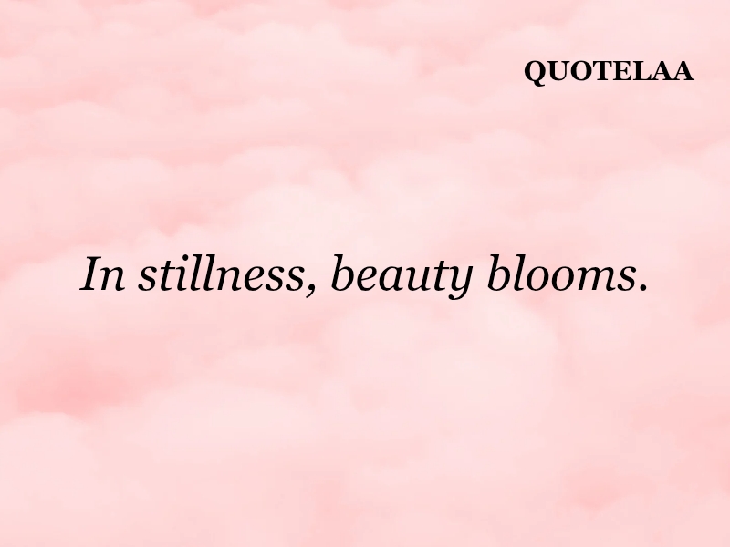 Aesthetic quotes 