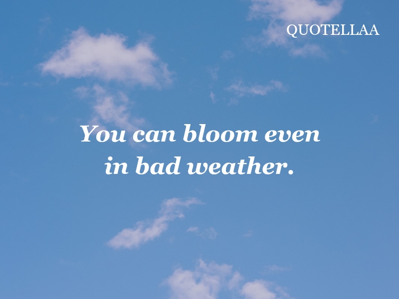 Positive attitude quotes