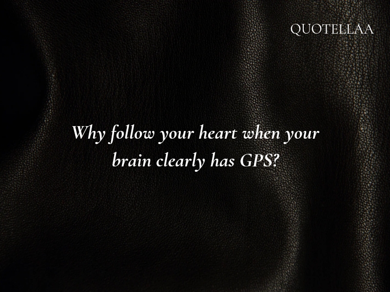 Wit quotes 