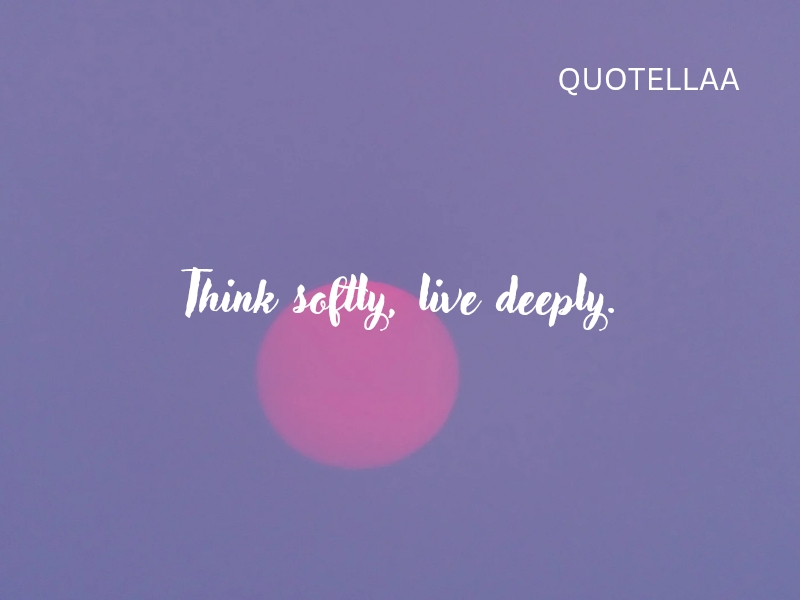 Aesthetic quotes 