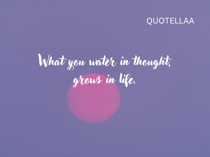 Aesthetic quotes 
