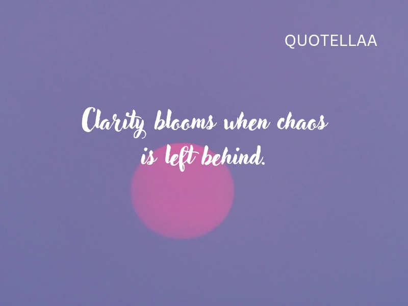 Aesthetic quotes