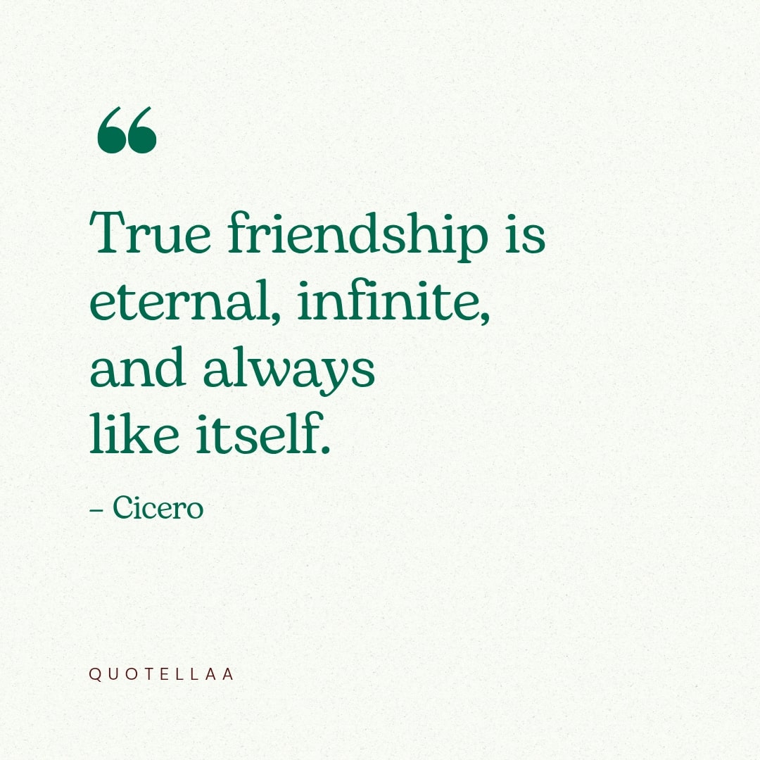 Friendship quotes