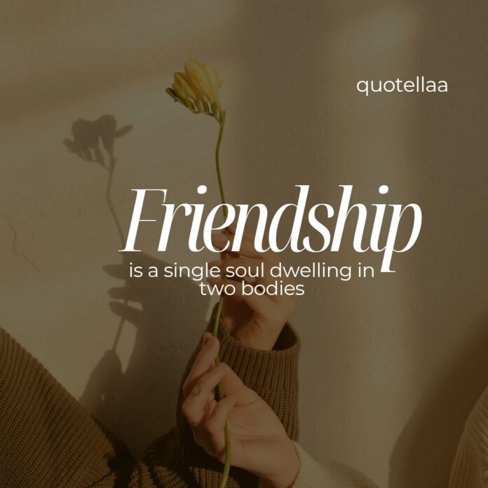 Friendship quotes