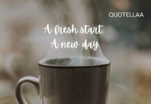 160+ Good Morning Quotes for a Lovely Day Good Morning Quotes