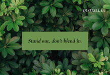 100+ Unique Quotes to Transform Your Day Unique Quotes